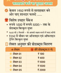 Alternative view of 3 Complete Business Plan